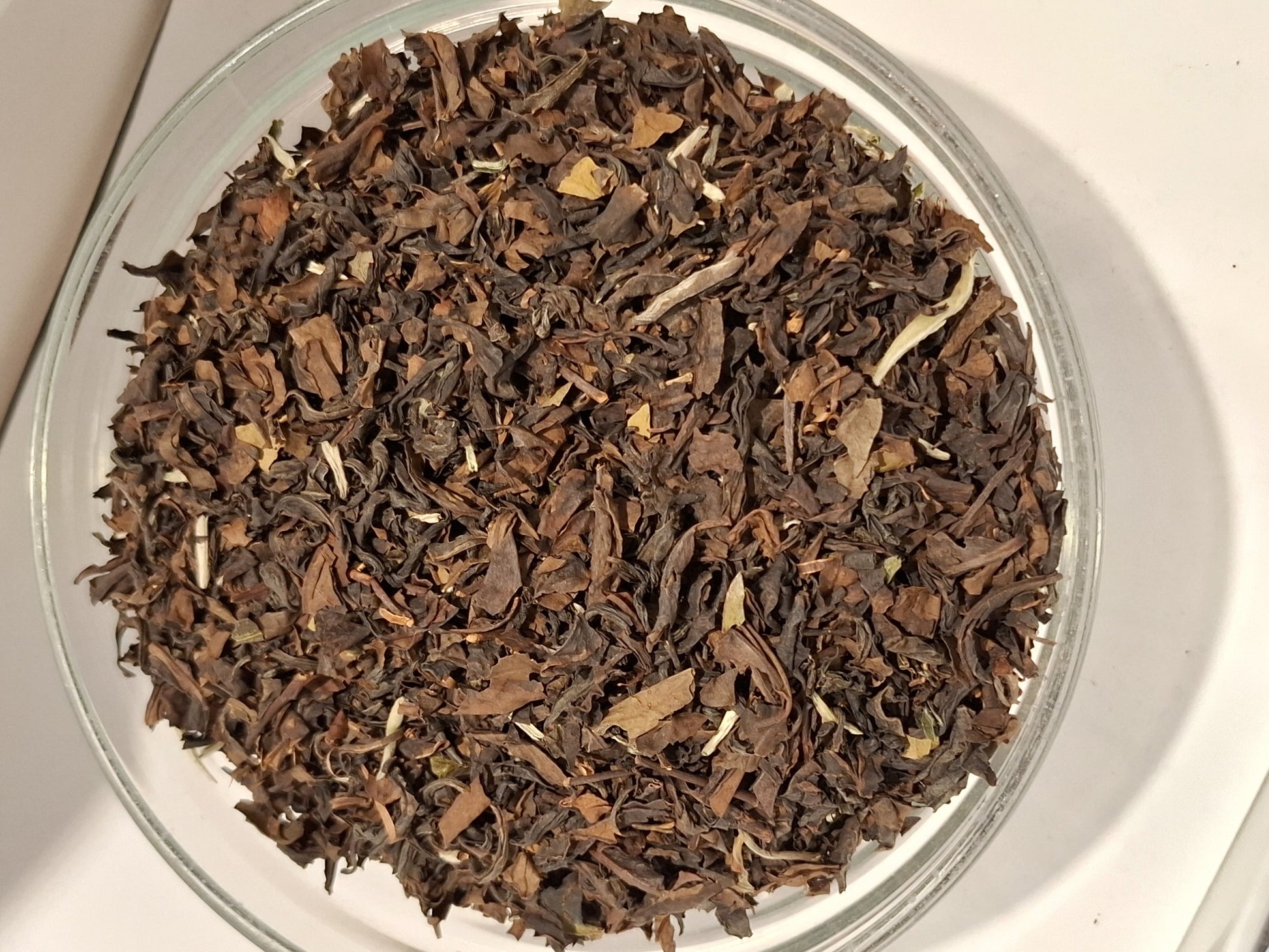 oolong-tee-loser-tee-premium2