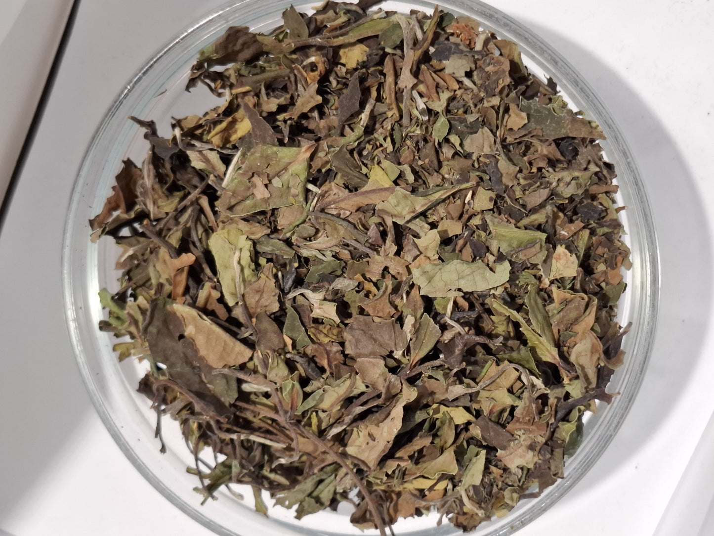 Weißer Tee "Bai Mu Dan Classic" | Naturrein & Mild | Aus jungen Teeblättern