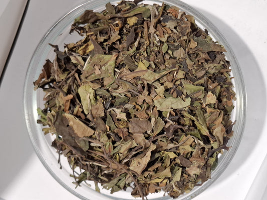 Weißer Tee "Bai Mu Dan Classic" | Naturrein & Mild | Aus jungen Teeblättern